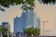 DSC4712