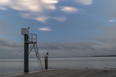 DSC5008