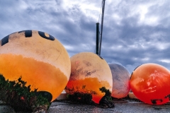 DSC5012
