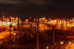 DSC5329-2