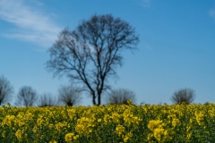 DSC6123_Bildgröße-ändern