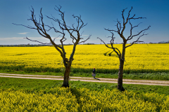 Ein-Mann-unterwegs-026