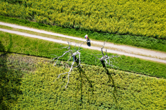 Ein-Mann-unterwegs-028