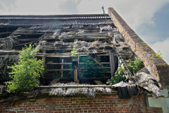 Gut-rastorf-25