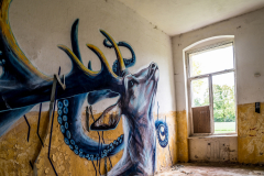 Irrenanstalt-Domjuech-18