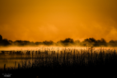 Ostsee-04