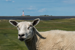 Westhever-leuchtturm-01