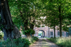Ein-Mann-unterwegs-066