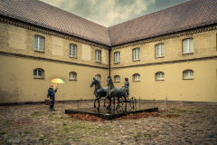 Ein-Mann-unterwegs-110
