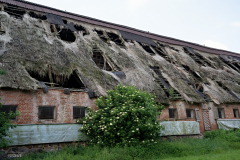 Gut-rastorf-24