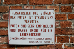 Gut-rastorf-29