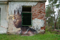 Irrenanstalt-Domjuech-26