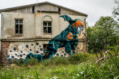 Irrenanstalt-Domjuech-27